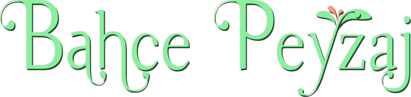 Bodrum Bahçe Peyzaj